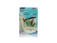 Glade Toilet Block 25g