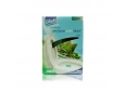 Glade Toilet Block 25g