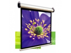 AUTO FIXED WALL SCREEN