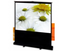 PORTABLE FLOOR SCREEN