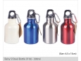 BB SSteel Bottle (V18)