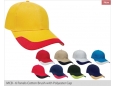 MCB - 6 Panels Cotton Brush with Polyester Cap