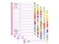 ABBA COLOUR INDEX DIVIDER 1-31  