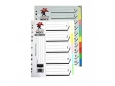 LUCKY STAR INDEX DIVIDER A4 10 COLOUR 