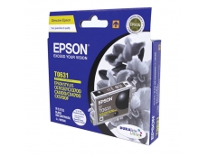 Epson T063