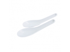 Plastic Chinese Spoon