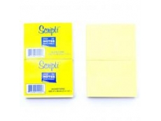 SCRIPTI STICK ON NOTES 51X38MM 1.5X2” 2PAD/PK15221C