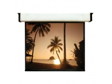 Classic Wall Projection Screen