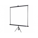 Projection Screen