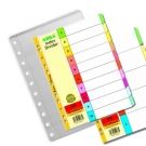 Sheet Protector & File Index